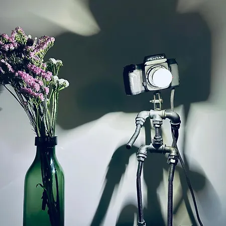 Casa Da Aldeia Nova *