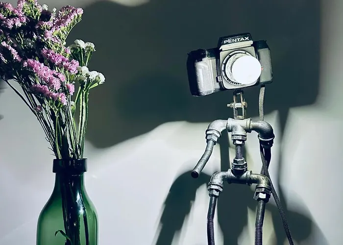 Casa Da Aldeia Nova *